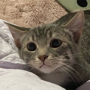 Meet your Posher, Makayla